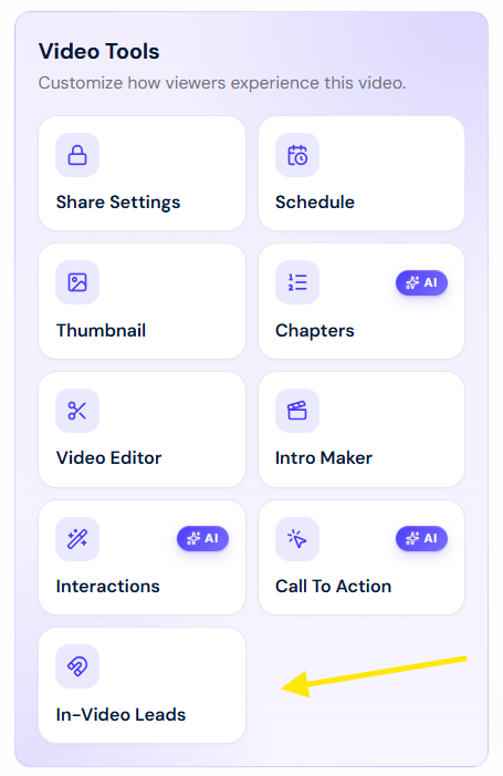 In Video Leads