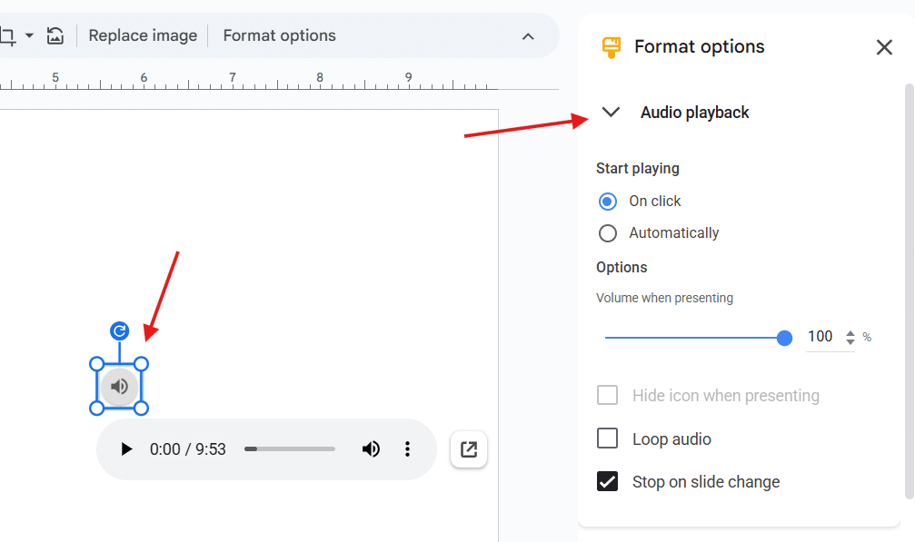 Set Playback Options Set Playback Options