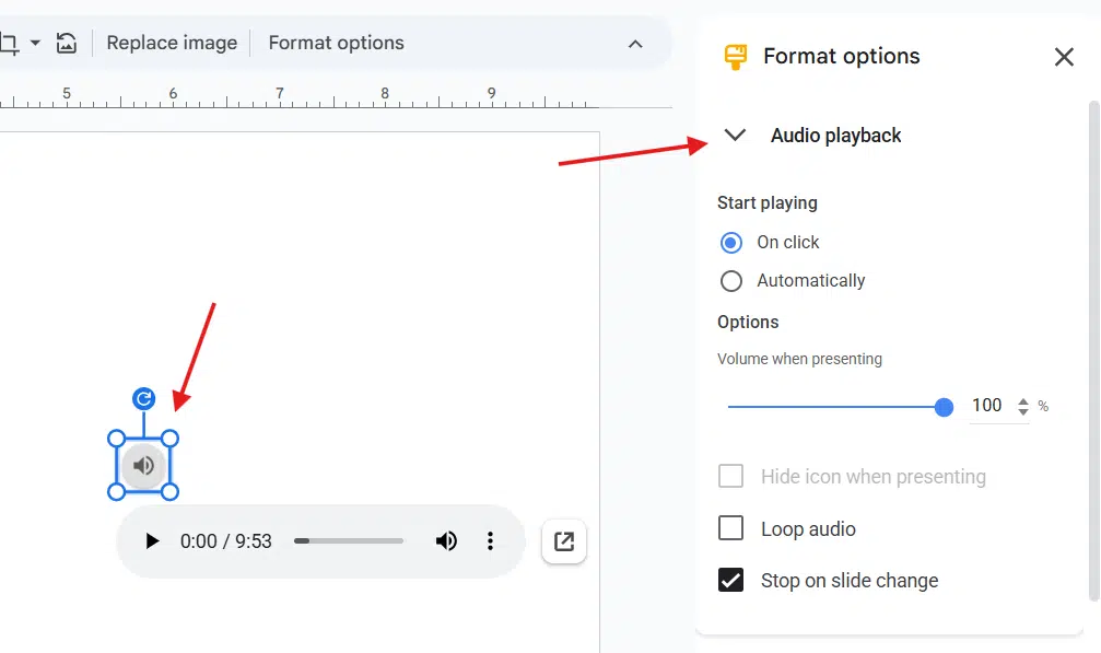 Set Playback Options Set Playback Options