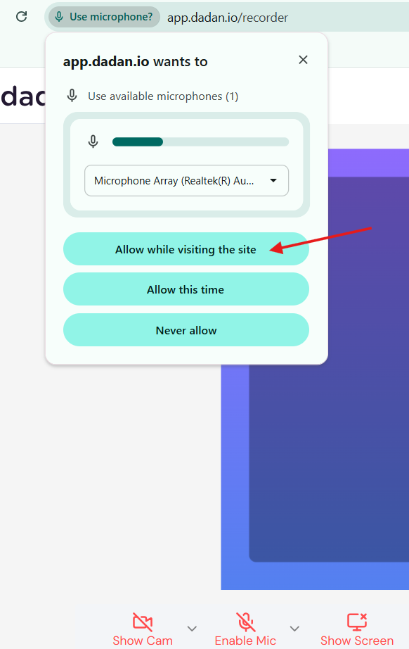 captures microphone audio