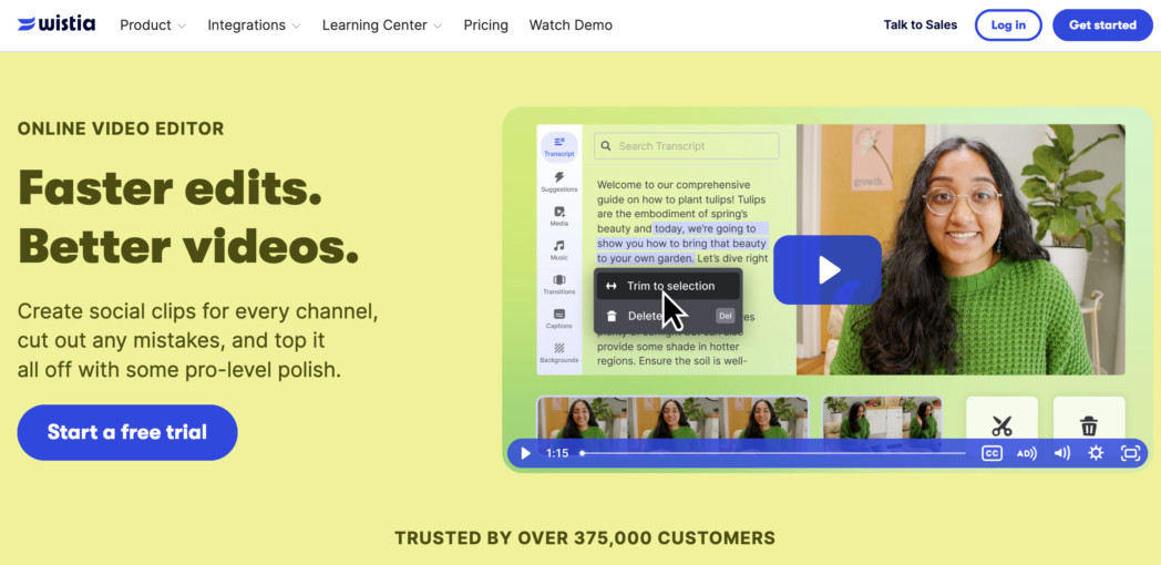 wistia text based video editor wistia text based video editor